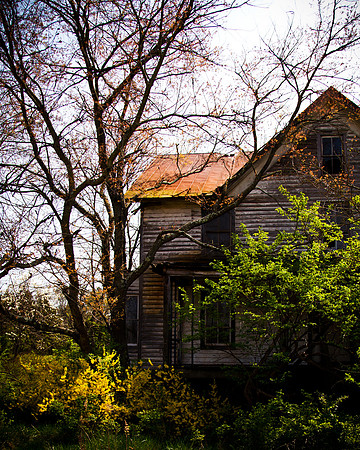 Tin Roof Rusted