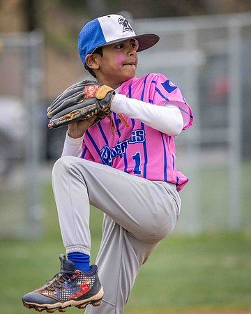 2025_04_06 - Game 2-11